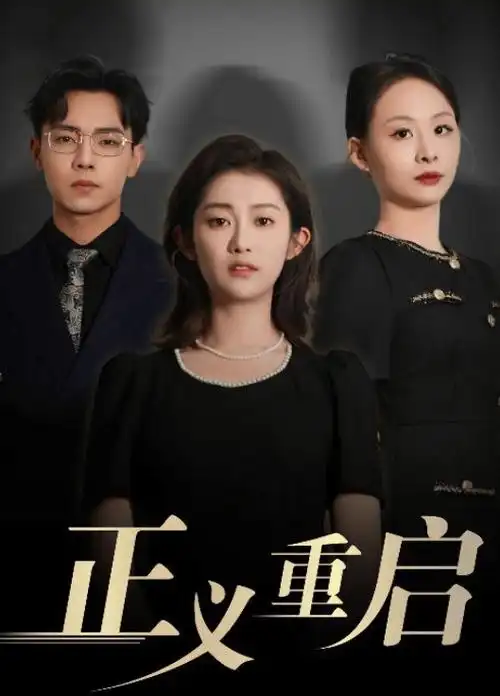 高分谍战高清剧白鹭计划海报